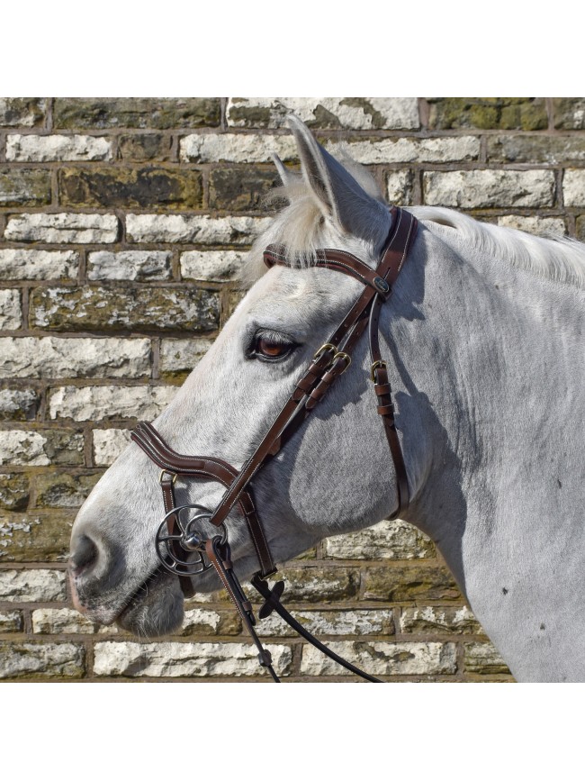 BR103 Stockholm Bridle with Reins - Available in Cob or Full - Black or Havana, Pick'n'Mix